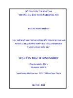 Luận văn đặc điểm bệnh lý bệnh viêm phổi thỏ newzealand nuôi tại trại giống thỏ việt nhật ninh bình và biện pháp điều trị 