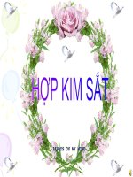 Tiết 26: Hợp kim sắt