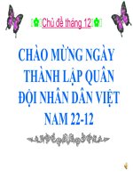 Tài liệu Tổ chức hoạt động nhân ngày 22 tháng 12