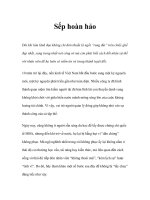 Sếp hoàn hảo