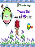 Tap doc Cay va hoa ben Lang Bac