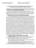 Gián án Báo cáo về đổi mới PPDH