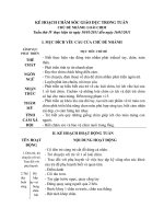 Bài soạn THẾ GIỚI ĐỘNG VẬT Nhánh 4