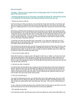 Sức ép vừa phải