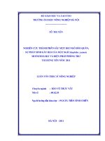 Luận văn nghiên cứu thành phần sâu mọt hại ngô bảo quản; sự phát sinh gây hại của mọt ngô sitophilus zeamais motschulsky và biện pháp phòng trừ tại hưng yên năm 2011 