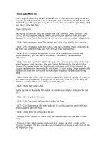 Gián án D:quân Mông cổ và sự tài giỏi của Trần hưng Đạo.doc