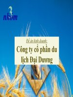 Đề án kinh doanh Công ty cổ phần du lịch đại dương 