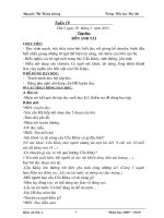 Gián án GA lop 4- Tuan 19