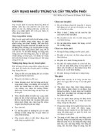 Nâng cao các kỹ năng về di truyền, sinh sản và lai tạo giống bò thịt nhiệt đới- chương 25