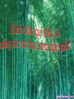 bài 11. vận chuyển các chất qua màng sinh chất