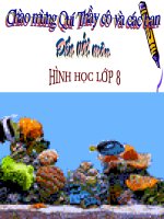 Gián án GIÁO ÁN ĐIỆN TỬ HÌNH 8