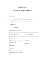 CHÍNH TẢ - NẾU CHÚNG MÌNH CÓ PHÉP LẠ