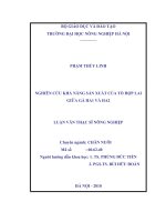 Nghiên cứu khả năng sản xuất của tổ hợp lai giữa gà HA1 và HA2 