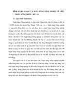 TÌNH HÌNH CƠ BẢN CỦA NGÂN HÀNG NÔNG NGHIỆP VÀ PHÁT TRIỂN NÔNG THÔN LÀO CAI