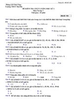 Bài giảng Đề tin 7 HK1