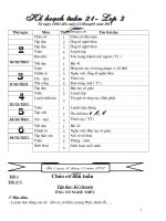 Bài soạn GA Tuần 21- Lớp 3CKTKN.Hường