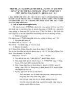 Thực trạng hạch toán tiêu thụ hàng hoá và xác định kết quả tiêu thụ tại chi nhánh công ty TNHH đầu tư phát triển công nghiệp và thương mại T.C.I