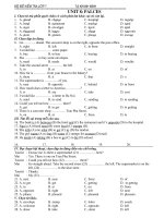 ĐỀ ÔN TẬP UNIT 8 - LỚP 7