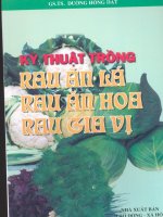 Kỹ thuật trồng rau ăn lá, rau ăn hoa, rau gia vị