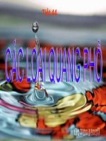 Bài soạn MÁY QUANG PHỔ