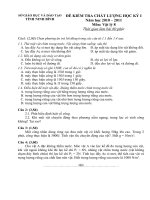 Đề thi HKI_Ninh Bình 2010 - 2011