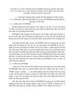 Cơ sở lý luận về DOANH NGHIệP NGOàI QUốC DOANH và vai trò của tín dụng ngân hàng đối với DOANH NGHIệP NGOàI QUốC DOANH