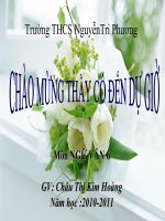 Tài liệu tiet 76 tim hieu chung ve van mieu ta