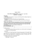 giao an tuan 17lop 5