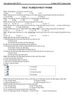 Trắc nghiệm phần THVP Word