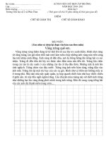 Đề thi viết chữ đẹp K5 NH10-11 cực hay