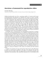 Overview - a framework for reproductive ethics