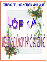 bài giảng 10-11 Luyện tập chung Tuần 17