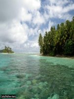 Bài giảng Bài 48 ( Thiên nhiên châu Đại dương)