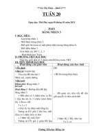 Bài giảng Tuần 20 lớp 2