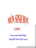 Tiet 31. Hấp thụ dinh dưỡng và thải phân