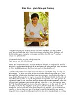 Đàn bầu - giai điệu quê hương