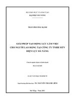 Giải pháp tạo động lực làm việc cho người lao động tại công ty TNHH MTV điện lực đà nẵng 
