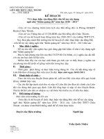 Gián án KẾ HOẠCH GÂY QUỸ NGÔI NHÀ KHĂN QUÀNG ĐỎ