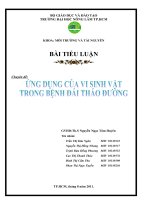 Ứng dụng isnulin trị đái tháo đường