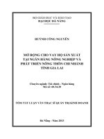 Mở rộng cho vay hộ sản xuất tại ngân hàng nông nghiệp và phát triển nông thôn chi nhánh tỉnh gia lai 