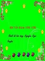 Bai 66: uôm - ươm