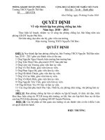 Quyết định thành lập ban PCBL năm 2010-2011