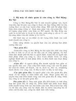 CÔNG TÁC TỔ CHỨC NHÂN SỰ Công ty Mai Động