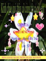 Gián án Kì diệu rừng xanh.