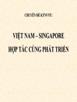 Chuyên đề nghiệp vụ kinh tế ngoại thương việt nam singapor cùng phát triển 