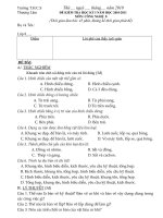 Đề K.Tra HKI Có Đ.Án