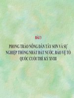 Bài giảng BÀI 3 - PHONG TRÀO NÔNG DÂN TÂY SƠN VÀ SỰ NGHIỆP THỐNG NHẤT ĐẤT NƯỚC, BẢO VỆ TỔ QUỐC CUỐI THẾ KỶ XVIII