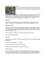 Bài soạn Công nghệ sản xuất giống cá sặc rằn