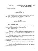 Bài giảng Luật người khuyết tật