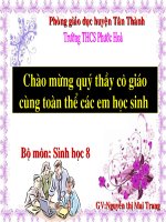 Gián án hoi giang huyen dat giai tiet 45 gioi thieu chung he than kinh